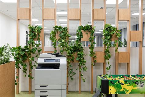 A guide to the best office plants | The Little Botanical