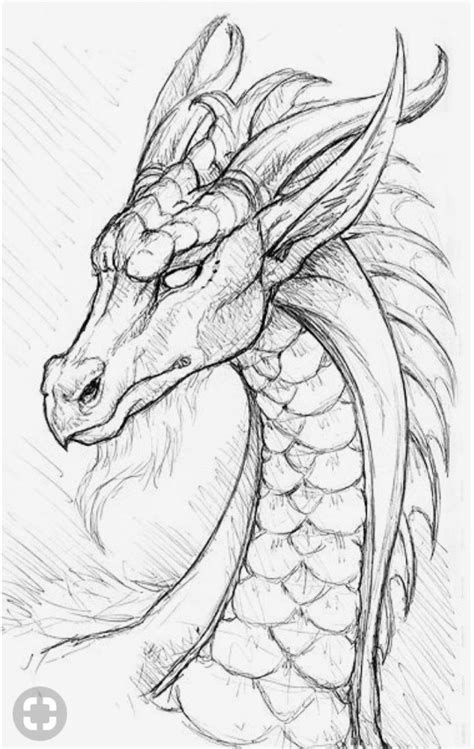 Cool Dragon Drawing - How to Draw a Dragon Easy | Drawingforall.net ...