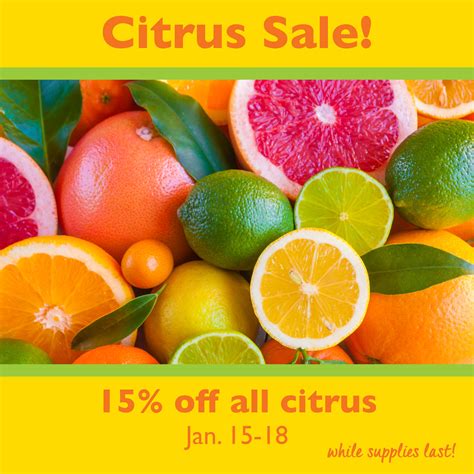 Citrus Sale to run Jan. 15-18 | Astoria Co+op