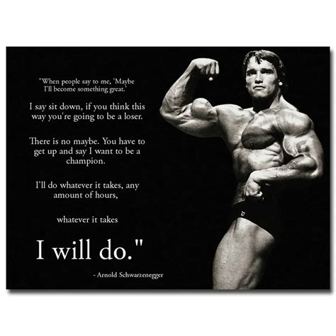 Arnold Schwarzenegger Silk Poster 24x32 inch Fitness Picture For Room ...