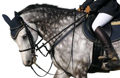 Horse Tack: 15 Essential Horse Equipment For Owner and Horseback Rider ...