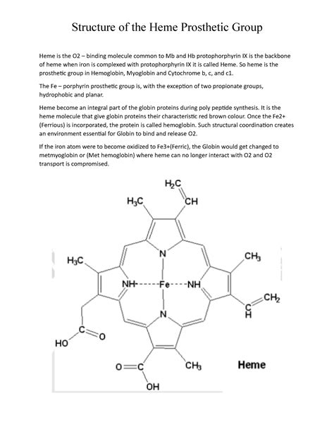 Structure of the Heme Prosthetic Group - So heme is the prosthetic ...