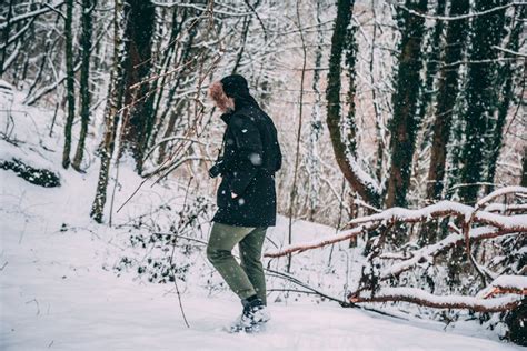 Photo of Snowy Field · Free Stock Photo