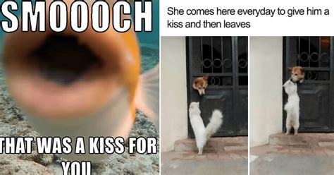 This Week's Kissing Memes For The Slobbery Smoochers Out There (October ...