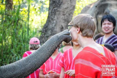 Chiang Mai Elephant Sanctuary | VOYON.CO