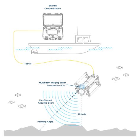 Sonar Diagram