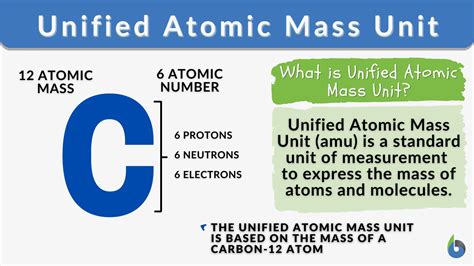 Unified atomic mass unit - Definition and Examples - Biology Online ...