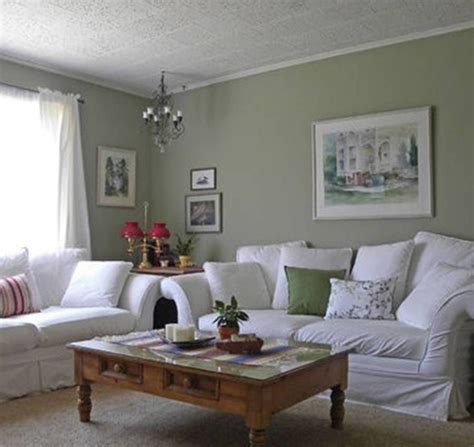 Sage Green Living Room | Green walls living room, Sage green living ...