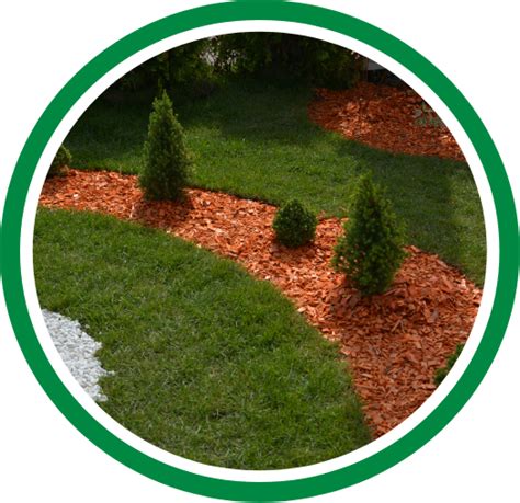 Our Services | Salazar A Landscaper