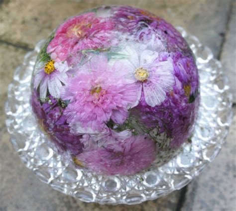 Foragefor... news: Ice Flower Bowls