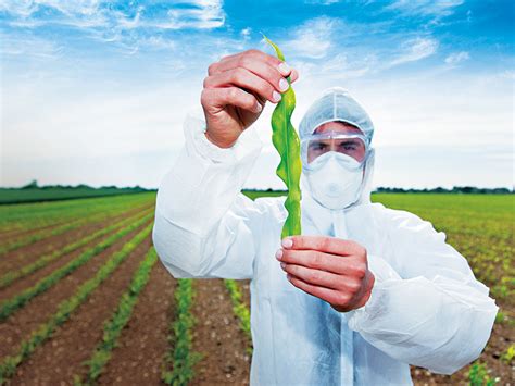 The GMO debate: sowing the seeds of controversy | World Finance