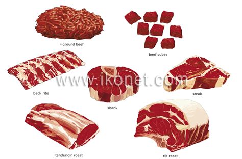 food and kitchen > food > meat > cuts of beef image - Visual Dictionary