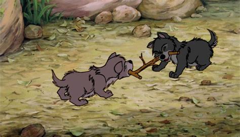 *WOLF PUP's ~ The Jungle Book, 1967 | Disney characters lion king ...