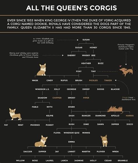 Queen Elizabeth and Her Court of Beloved Corgis