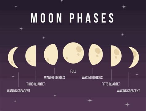 Moon goes through 8 phases: - A new moon - A solar eclipse - A waxing ...