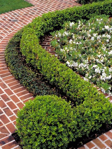 Boxwood Hedge Design, Pictures, Remodel, Decor and Ideas. I like how ...