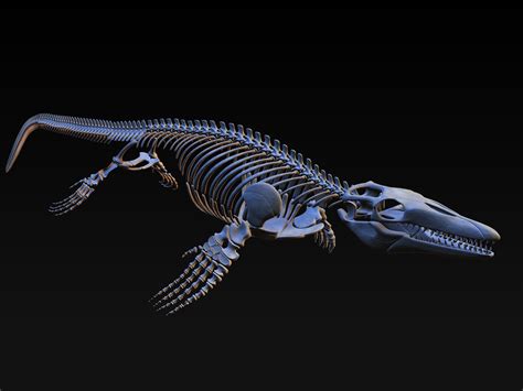 18 in1 dino skeleton model - TurboSquid 1228736