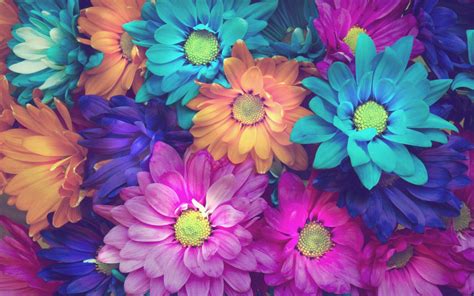 Download Colorful Neon Flower Wallpaper | Wallpapers.com