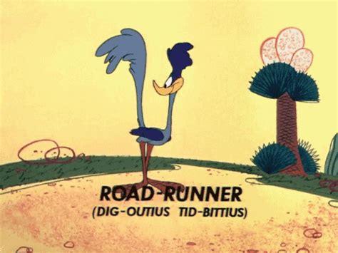 road runner gif | Looney tunes cartoons, Road runner, Classic cartoons