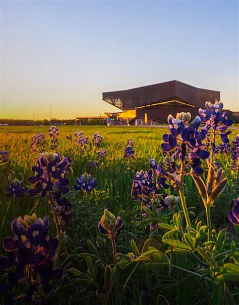 Weather | Travel Info | About Irving, Texas