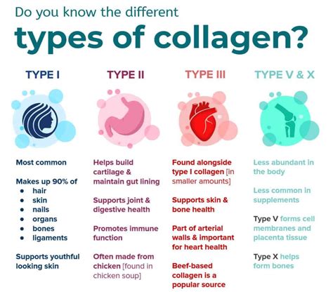 11 Collagen Benefits for Women: Improves Skin, Hair and More