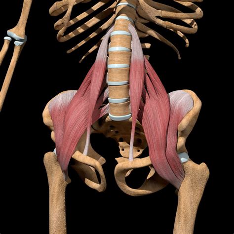 Hip flexor strain: Everything you need to know