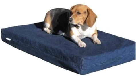 Small Orthopedic Waterproof Memory Foam Dog Bed for Small Medium Pet 35 ...