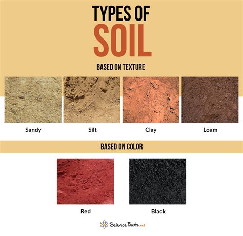 Types Of Soil With Pictures