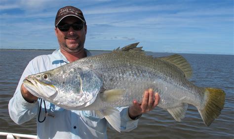 shady camp barramundi - Territory Guided Fishing