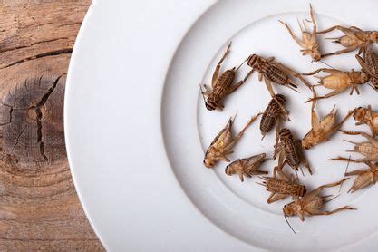 The Most Appetizing Ways to Eat Crickets