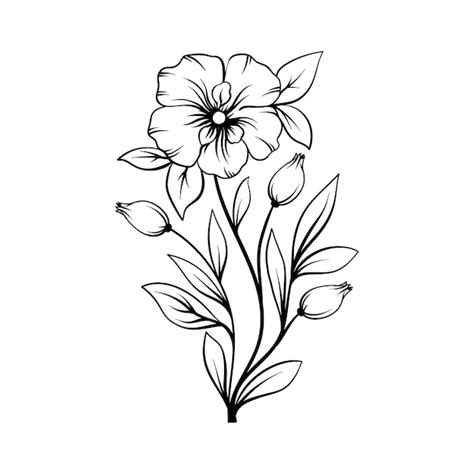 Flower Drawing Images - Free Download on Freepik