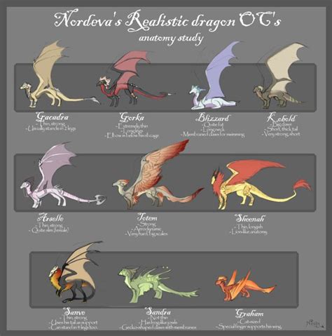 Types of dragons | Mythical creature design, Anatomy study, Realistic ...