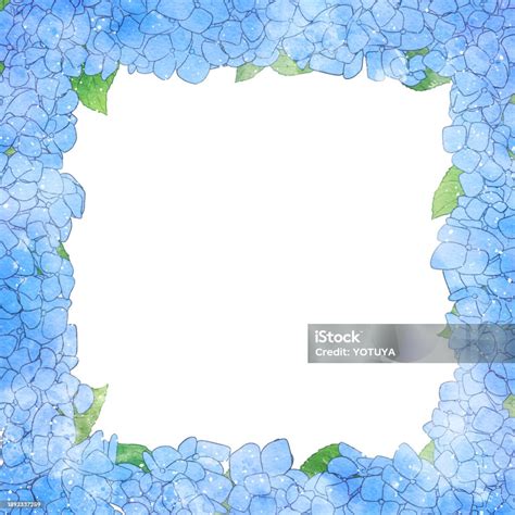 Beautiful Watercolor Hydrangea Background Illustration Stock ...