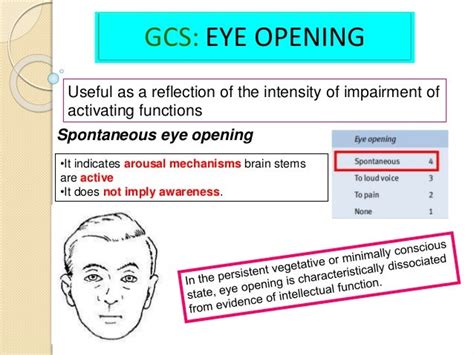 Glasgow Coma Scale Presentation