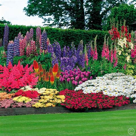 47 Perennial Garden + 100 Bulbs Buy online order yours now | cottage ...