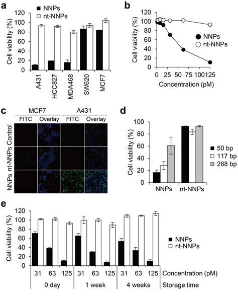 In vitro cytotoxicity of nucleoprotein nanoparticles assembled with ...