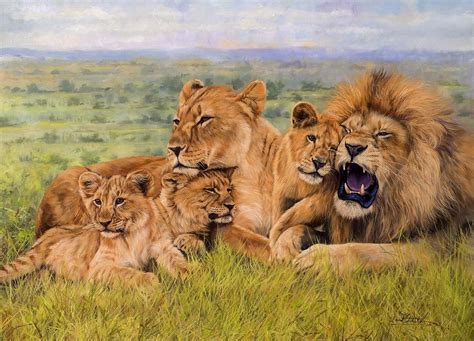 Lion Family Painting by David Stribbling