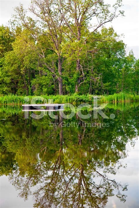 Reflection In The Pond Stock Photo | Royalty-Free | FreeImages