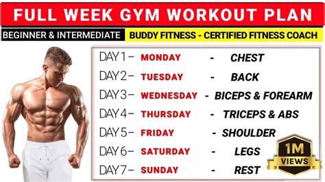 Full Week Gym Workout Plan for Beginners and Intermediates - Buddy Fitness