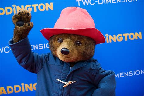 Paddington Bear Is Peruvian? Sequel Will Take Him Back to His Roots