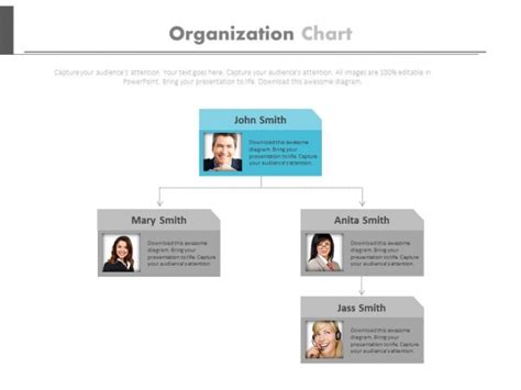 Company Hierarchy Structure Design Powerpoint Slides - PowerPoint Templates