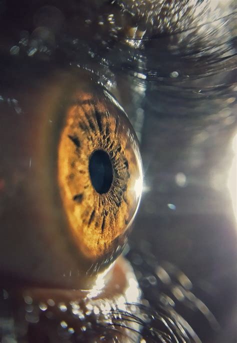 Ever seen the human eye this close| Micro lens photography | | Macro ...