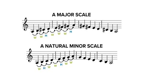 The 3 Types of Minor Scales in Music | Music theory lessons, How to ...