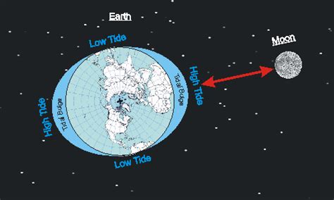 3.6 Phases of the Moon & Tides - Mrs. Foster's Fourth