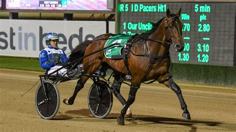 The King claims second successive Horse of the Year title - Harness ...