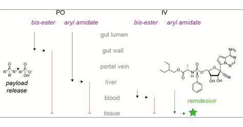 Phosphate Ester Synthesis