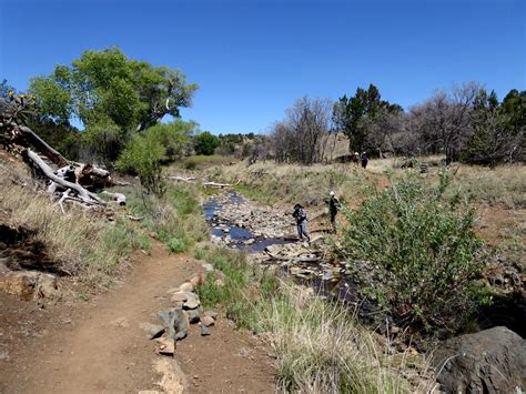 Dragonfly Loop Trail #720, NM • Hike