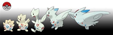 In-Progress Pokemon Evolutions | #175.5 - Togepi are freshly hatched ...