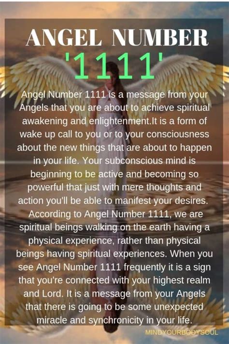 Angel Number 1111: You're Spiritually Connected And Enlightened. - Mind ...