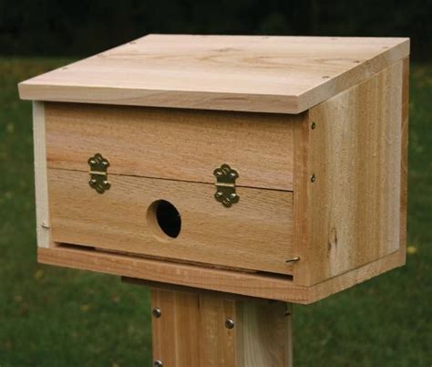 Shelter from the Storm: Winter Roosting Boxes - Gardenista | Bird house ...